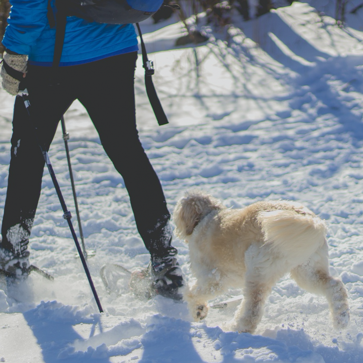 Ski Season picks from Sealskinz Aspire PR